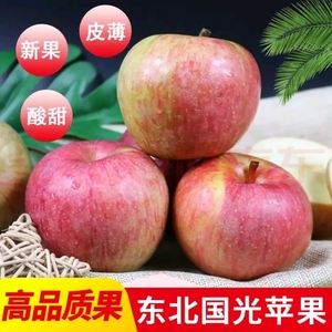 东北版小苹果官方版小苹果官方网站手机版-第2张图片-太平洋在线下载