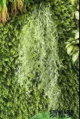 世界ol变态版苹果版世界ol破解版无限黄金-第2张图片-太平洋在线下载