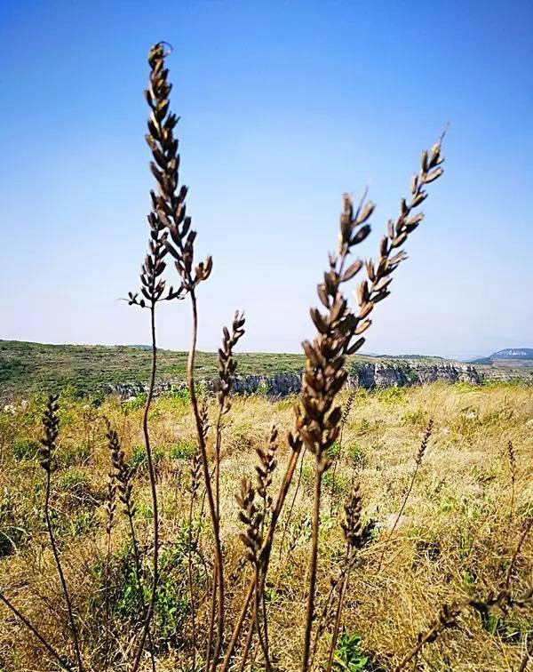 越野飞驰苹果版手机版下载安卓版下载苹果版下载电脑版