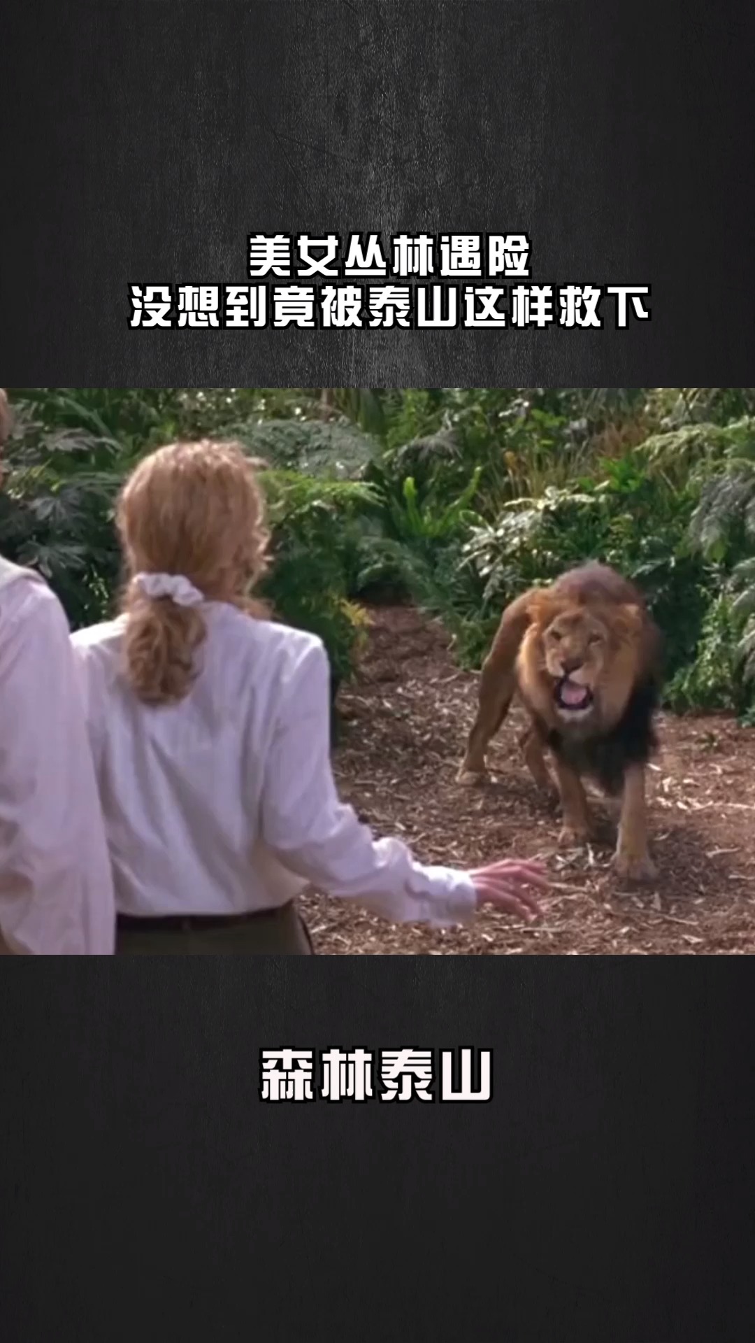 森林泰山国语版手机森林泰山国语版mp4