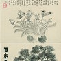 金农宝典客户端金农云享app下载官网