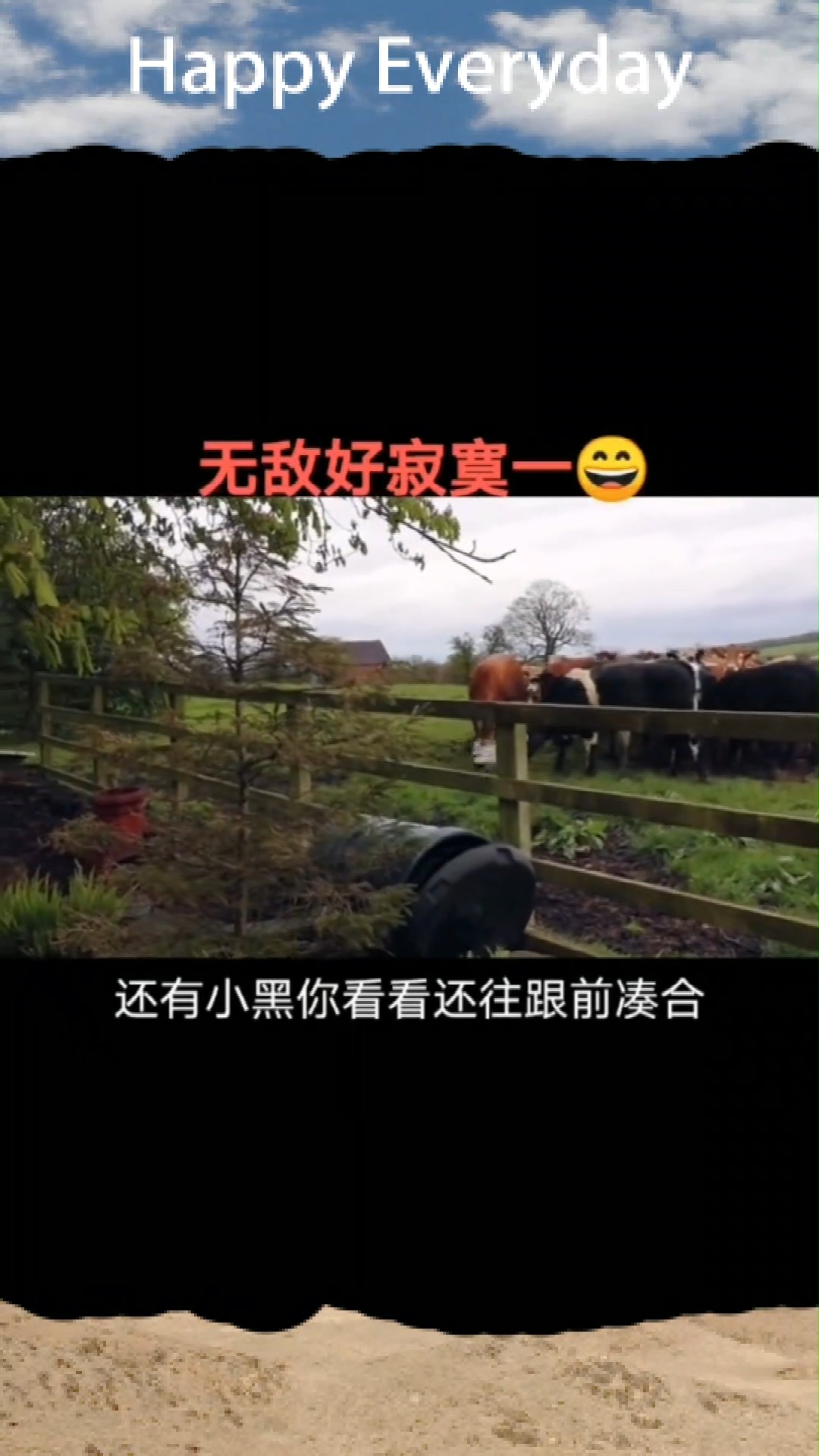 无敌战斗鸡苹果版战斗泰坦苹果版在哪下载-第2张图片-太平洋在线下载