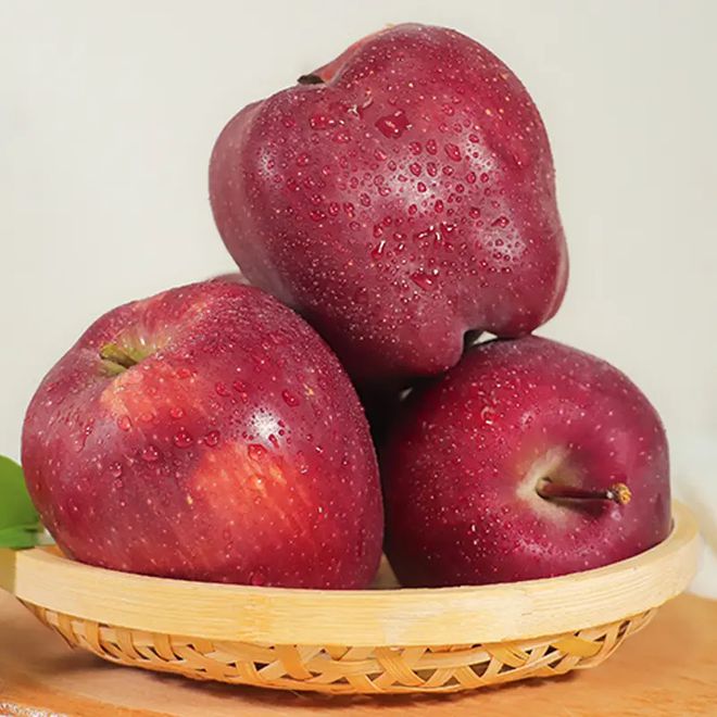 京东轻量版苹果轻量版app下载