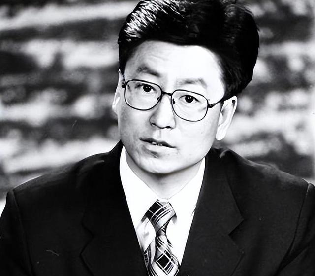 包含中央新闻客户端白岩松的词条