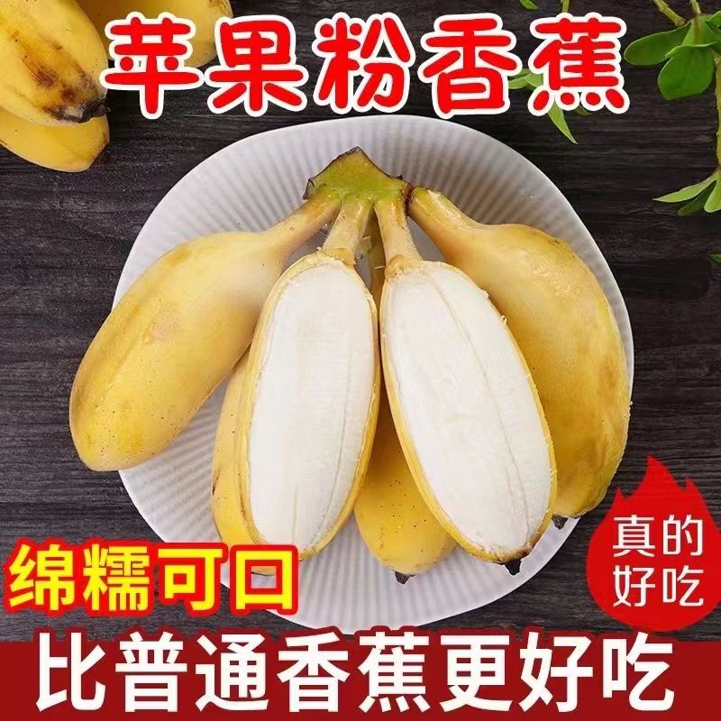 芭蕉苹果版芭蕉和苹果可以一起吃吗-第2张图片-太平洋在线下载