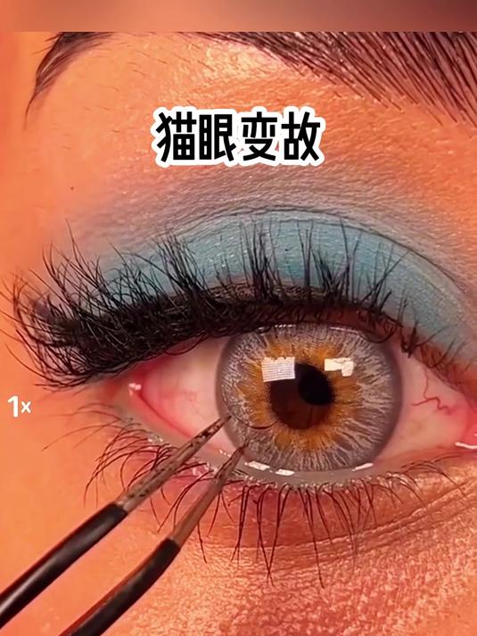 手机版猫眼看人凯迪论坛猫眼看人